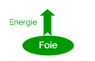 Le rôle du Foie en MTC